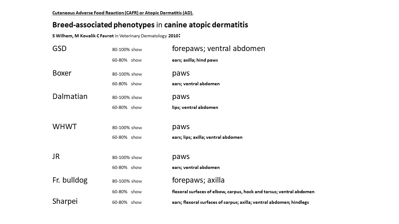 Pruritic_Dog_Webinar_Slide_34.jpg
